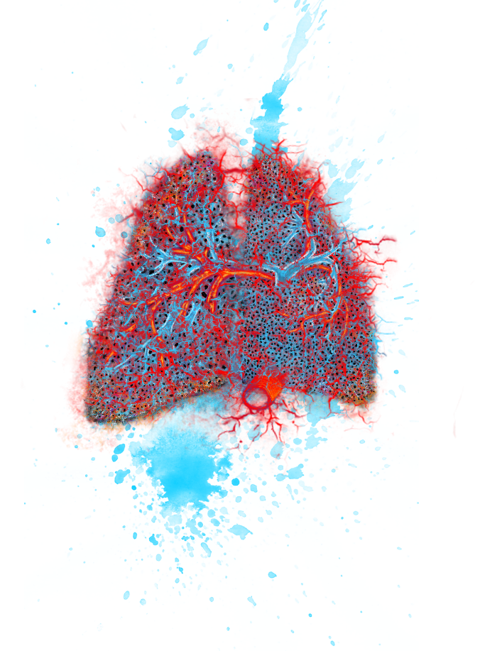 Representación artística de los pulmones