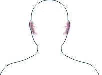 Ilustración de los oídos
